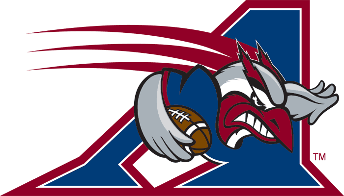 montreal alouettes 2000-pres primary logo iron on transfers for T-shirts